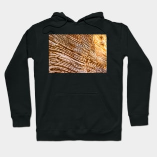 Lick Wash Trail Hike Hoodie